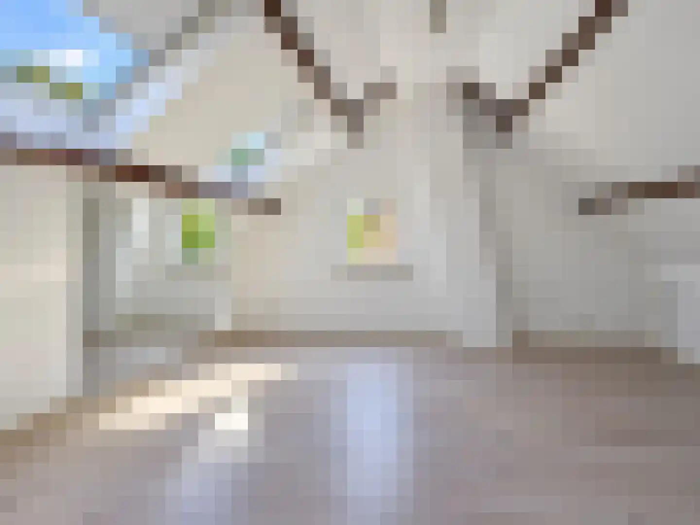 Henegouwenlaan 16 Etten-Leur thumbnail 39