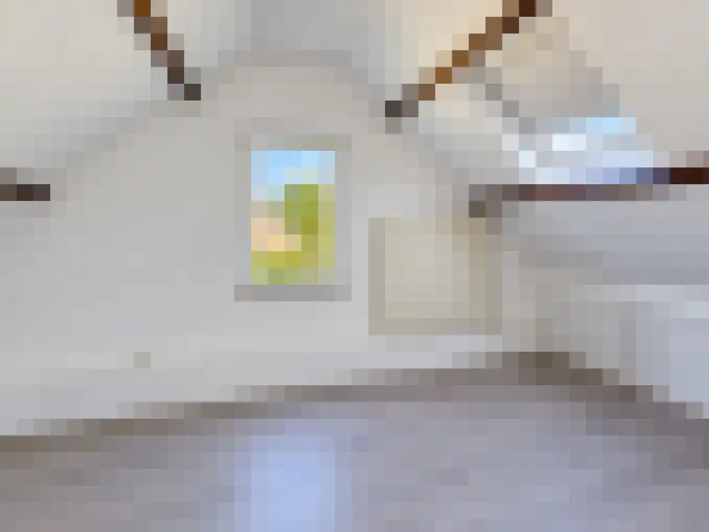 Henegouwenlaan 16 Etten-Leur thumbnail 41