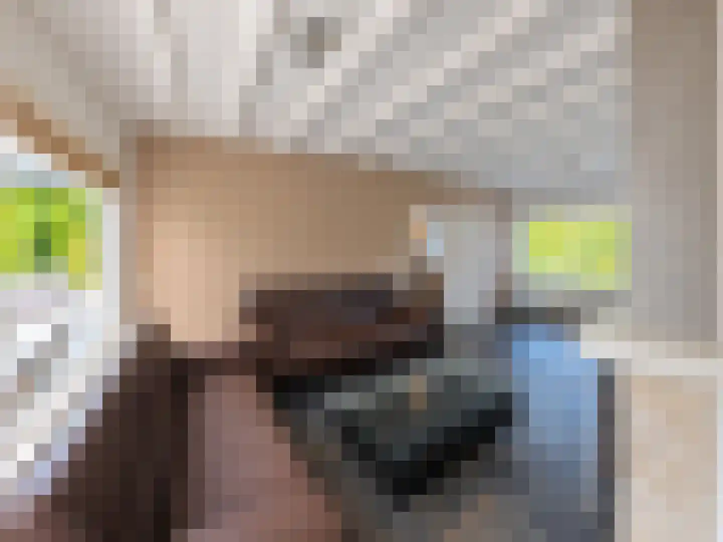 Henegouwenlaan 16 Etten-Leur thumbnail 7