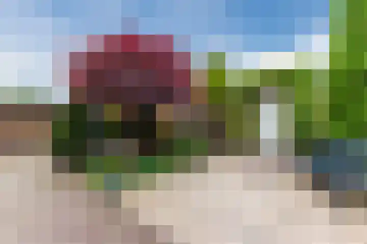 Henegouwenlaan 18 Heemskerk thumbnail 42
