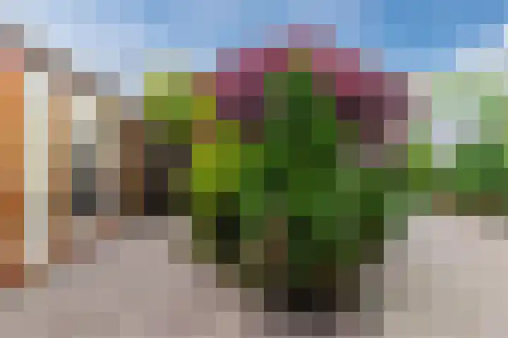 Henegouwenlaan 18 Heemskerk thumbnail 43