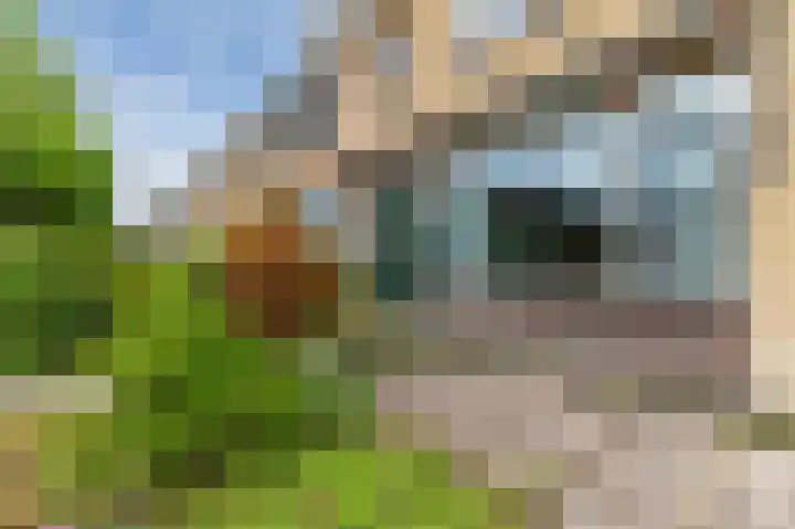 Henegouwenlaan 18 Heemskerk thumbnail 5