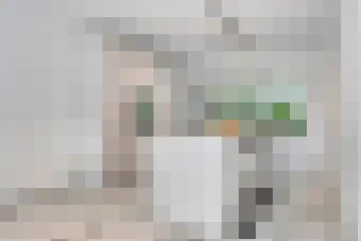 Henegouwenlaan 25 Eindhoven thumbnail 11