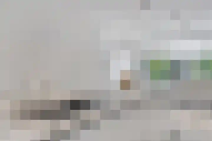 Henegouwenlaan 25 Eindhoven thumbnail 12