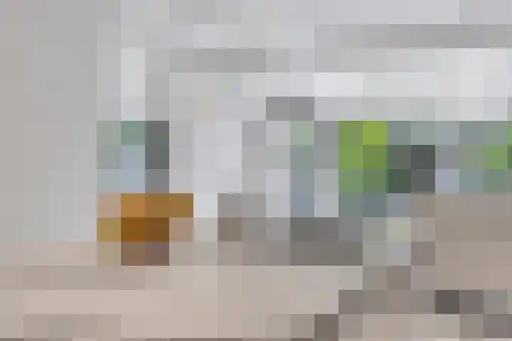Henegouwenlaan 25 Eindhoven thumbnail 13