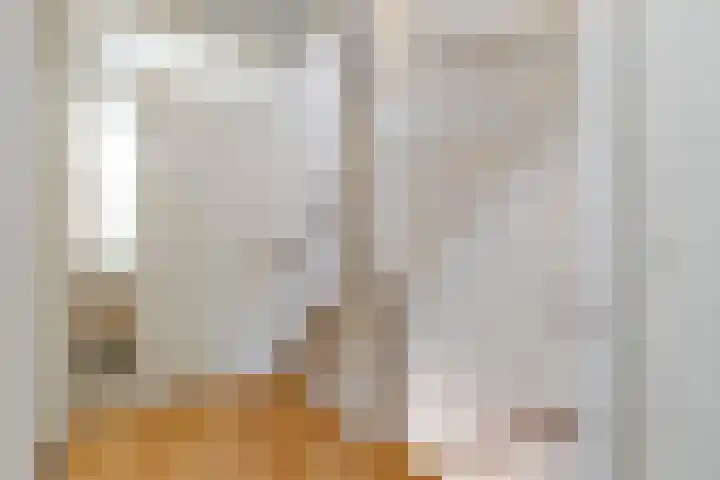 Henegouwenlaan 25 Eindhoven thumbnail 14