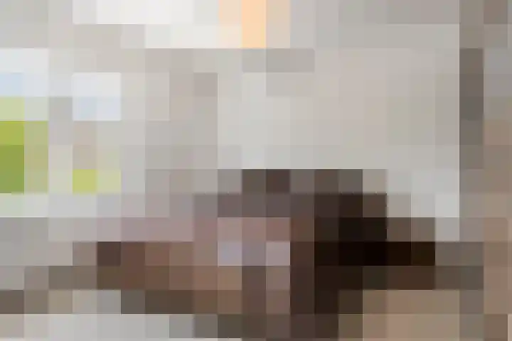 Henegouwenlaan 25 Eindhoven thumbnail 15