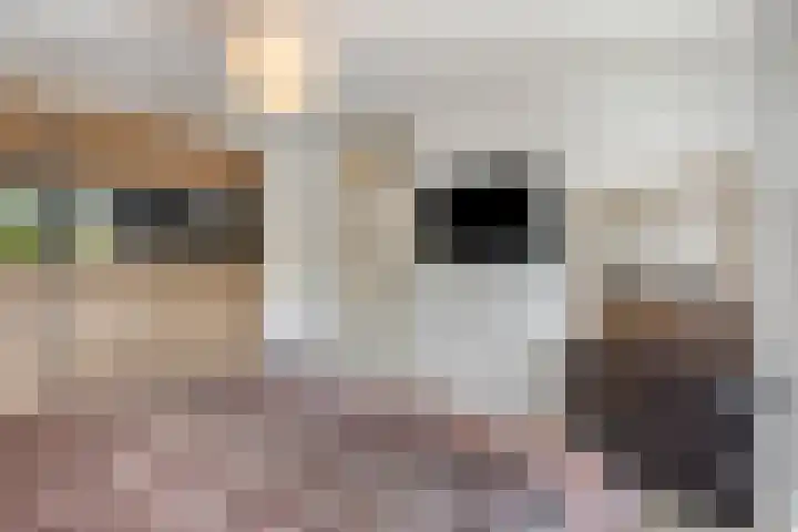 Henegouwenlaan 25 Eindhoven thumbnail 16