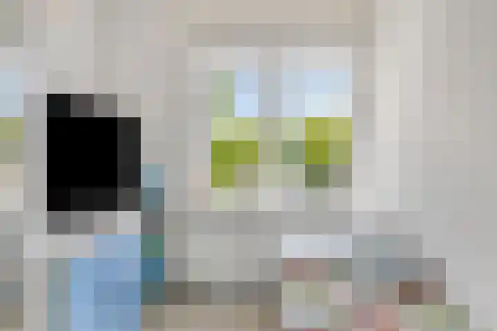 Henegouwenlaan 25 Eindhoven thumbnail 18