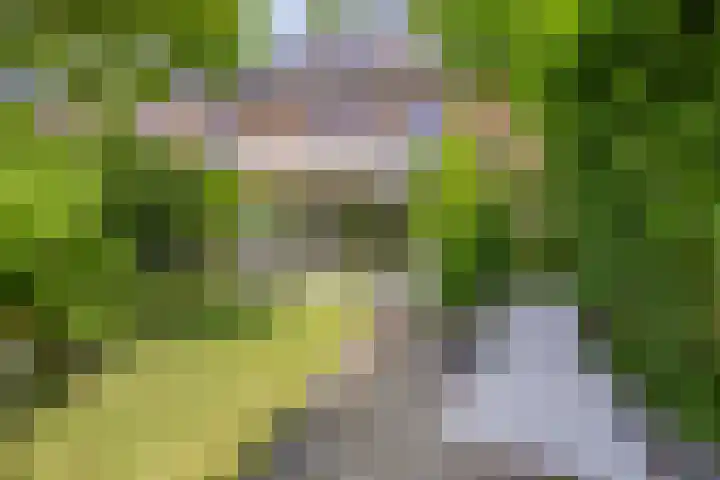Henegouwenlaan 25 Eindhoven thumbnail 24