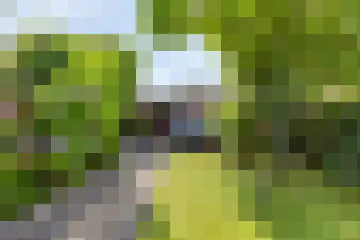 Henegouwenlaan 25 Eindhoven thumbnail 26