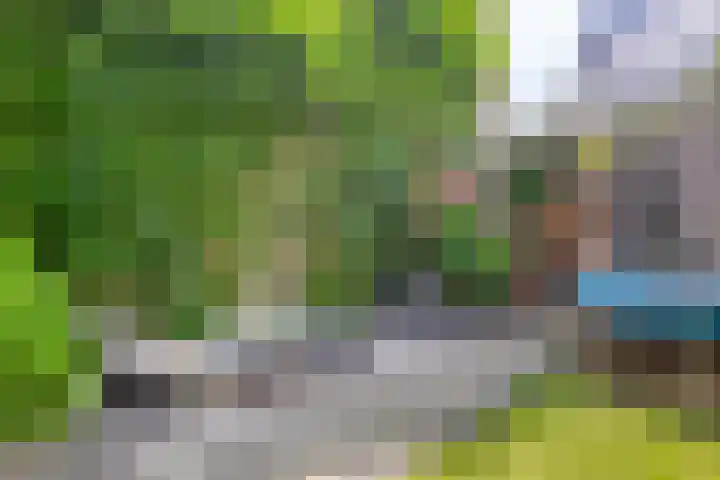 Henegouwenlaan 25 Eindhoven thumbnail 27