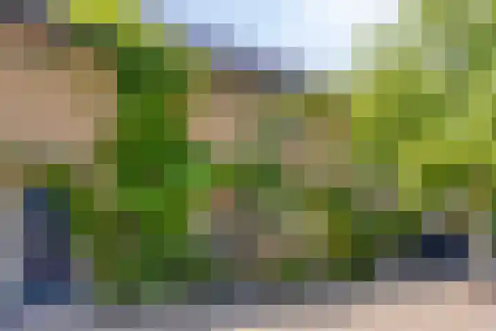 Henegouwenlaan 25 Eindhoven thumbnail 30