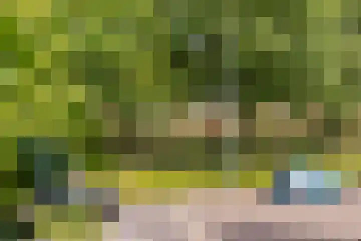 Henegouwenlaan 25 Eindhoven thumbnail 32