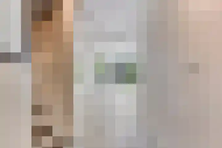Henegouwenlaan 25 Eindhoven thumbnail 6