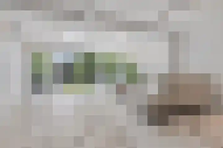 Henegouwenlaan 25 Eindhoven thumbnail 7