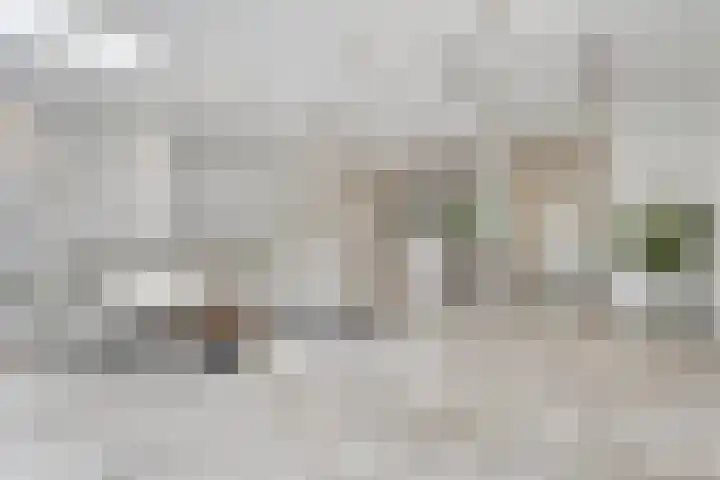 Henegouwenlaan 25 Eindhoven thumbnail 8