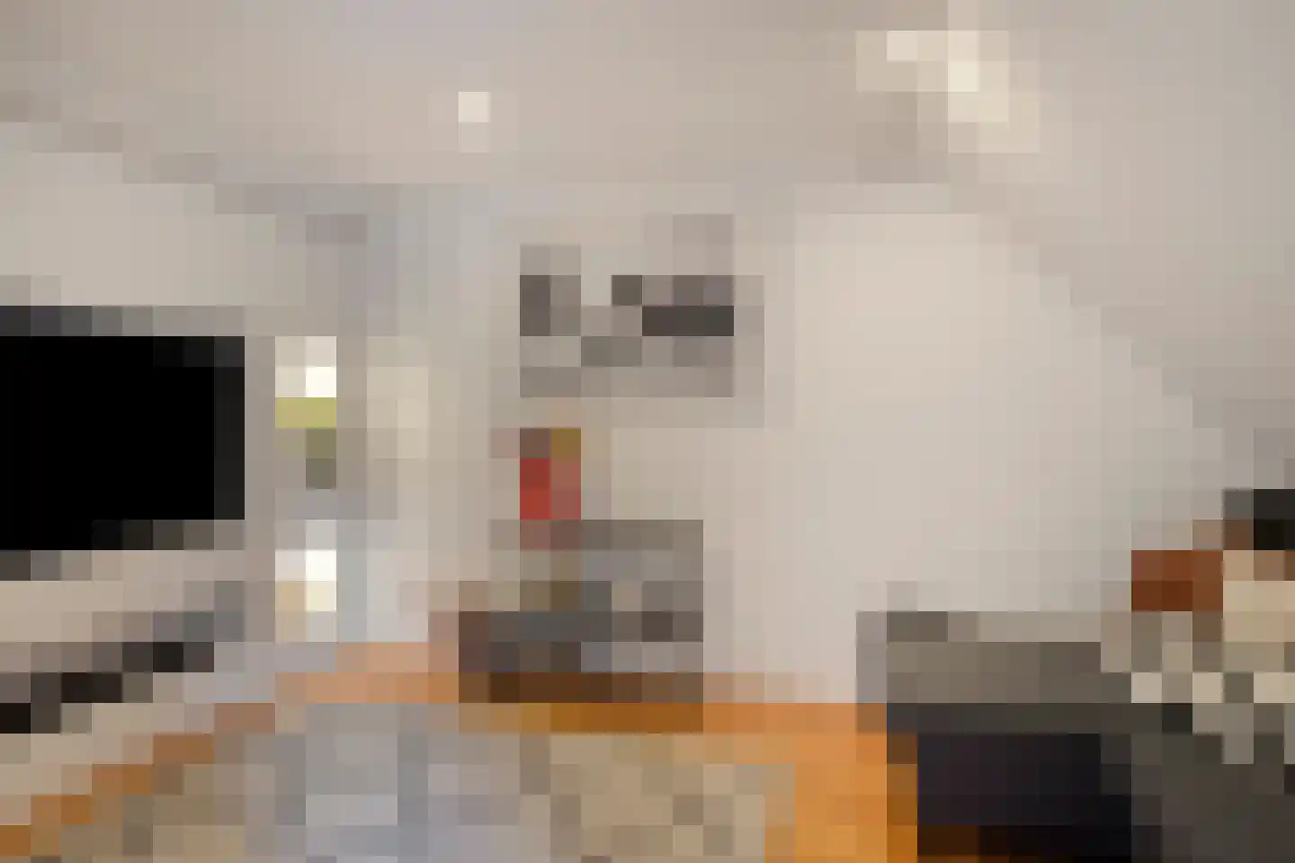 Henegouwenlaan 25 Oldenzaal thumbnail 24