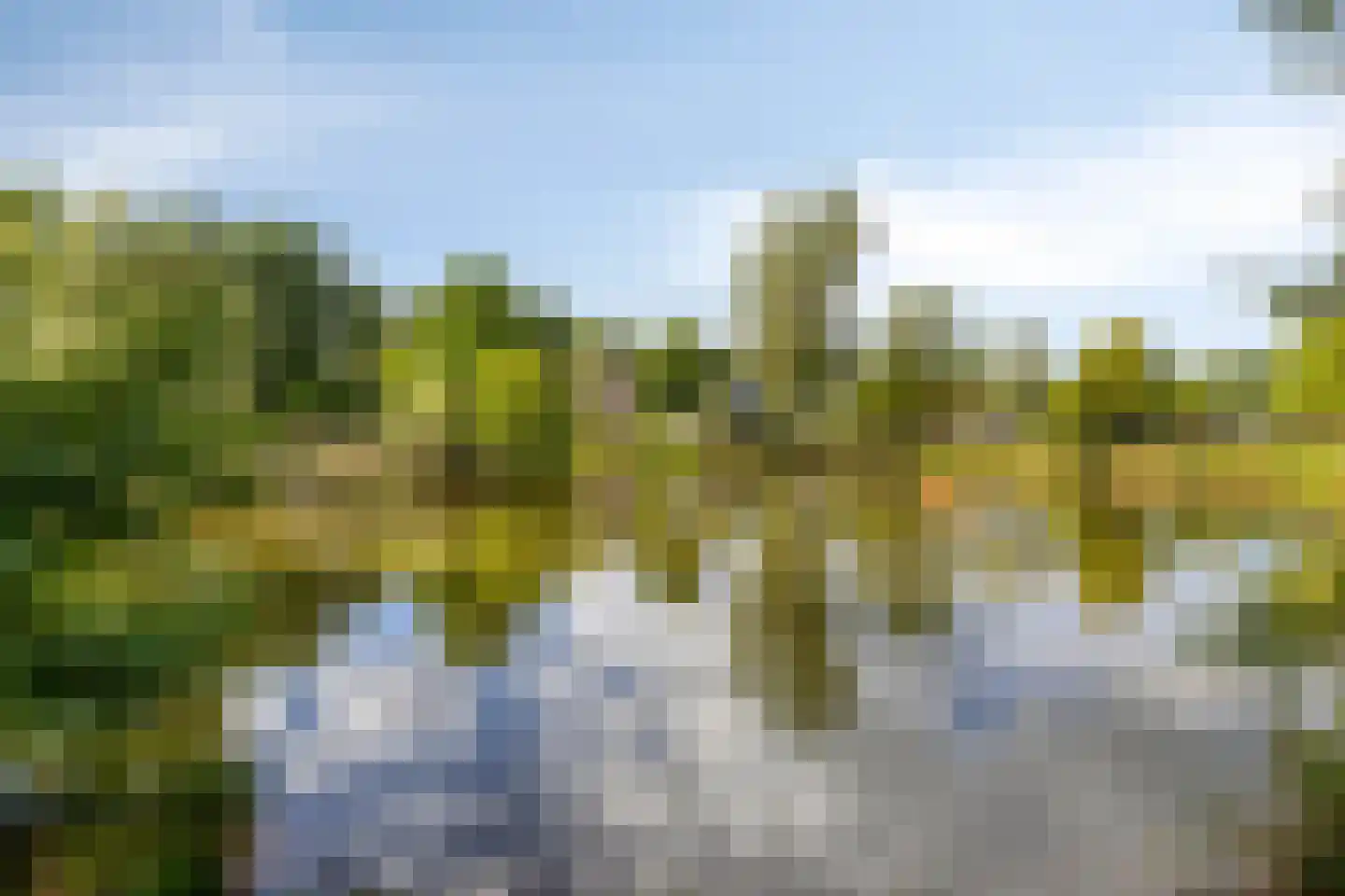 Henegouwenlaan 25 Oldenzaal thumbnail 32