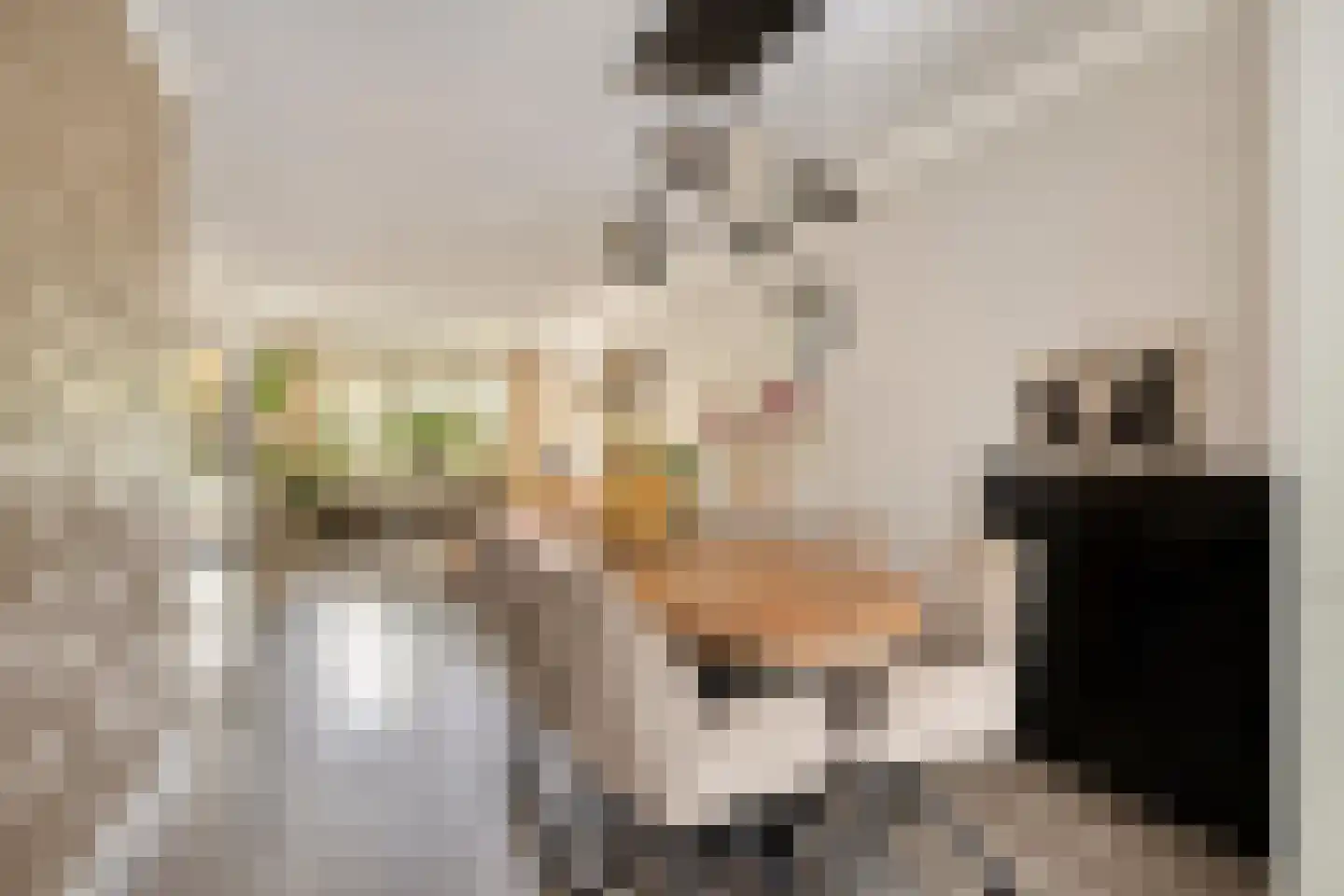 Henegouwenlaan 25 Oldenzaal thumbnail 9