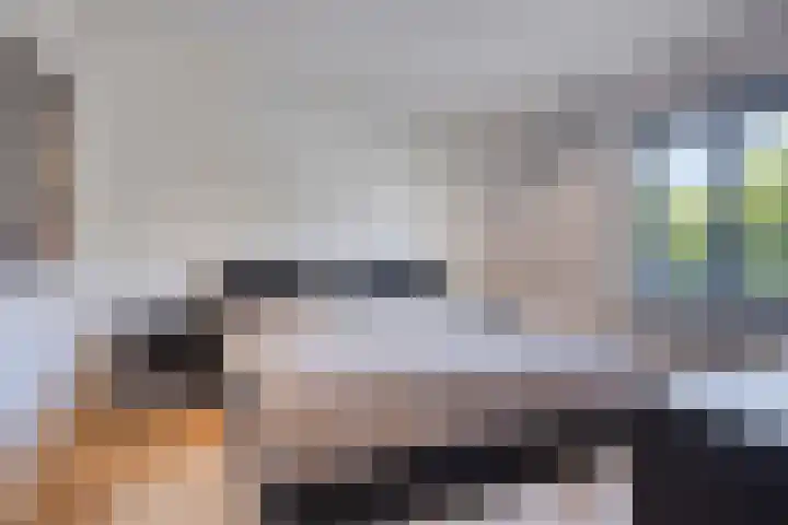 Henegouwenlaan 27 Eindhoven thumbnail 14