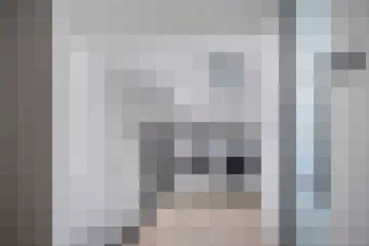 Henegouwenlaan 27 Eindhoven thumbnail 18