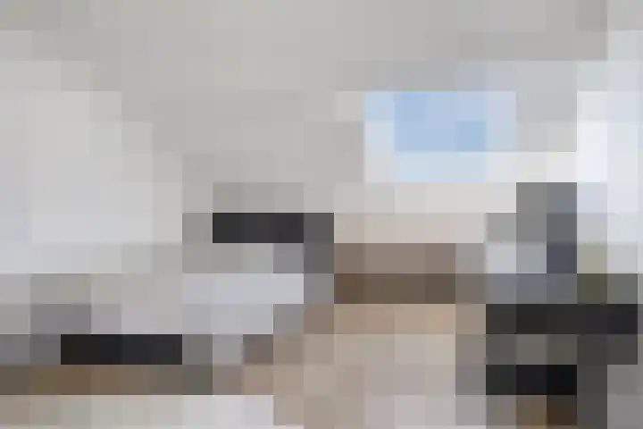Henegouwenlaan 27 Eindhoven thumbnail 19