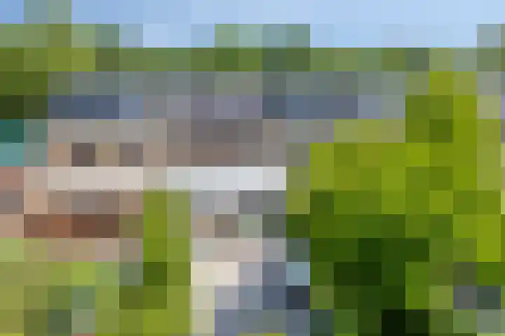 Henegouwenlaan 27 Eindhoven thumbnail 23