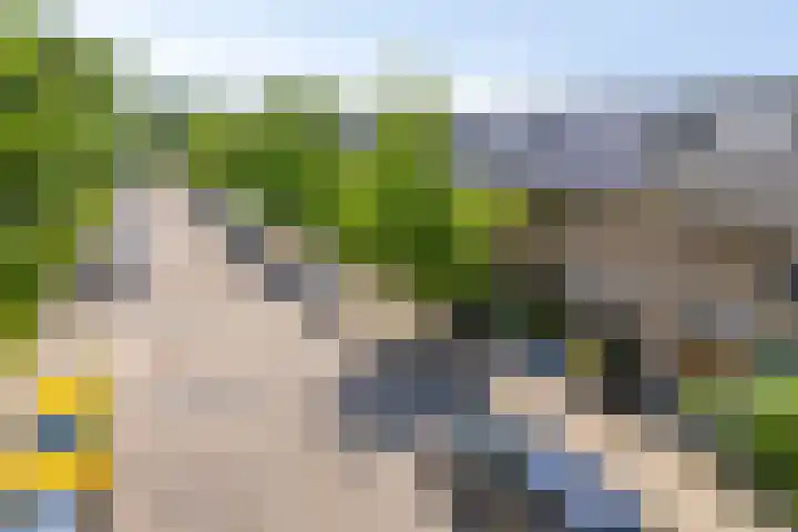 Henegouwenlaan 27 Eindhoven thumbnail 24