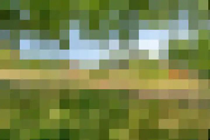 Henegouwenlaan 27 Eindhoven thumbnail 25