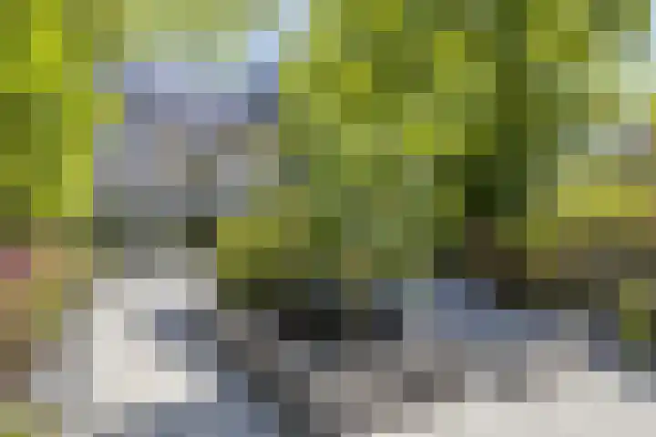 Henegouwenlaan 27 Eindhoven thumbnail 4