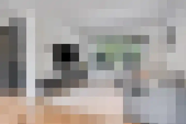 Henegouwenlaan 27 Eindhoven thumbnail 7
