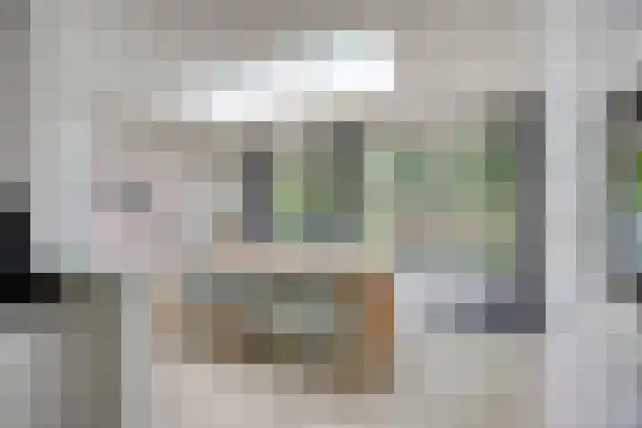 Henegouwenlaan 31 Oldenzaal thumbnail 12