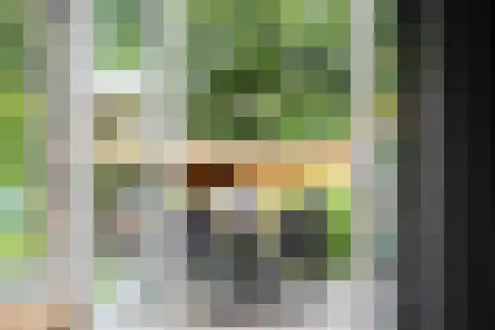 Henegouwenlaan 31 Oldenzaal thumbnail 14