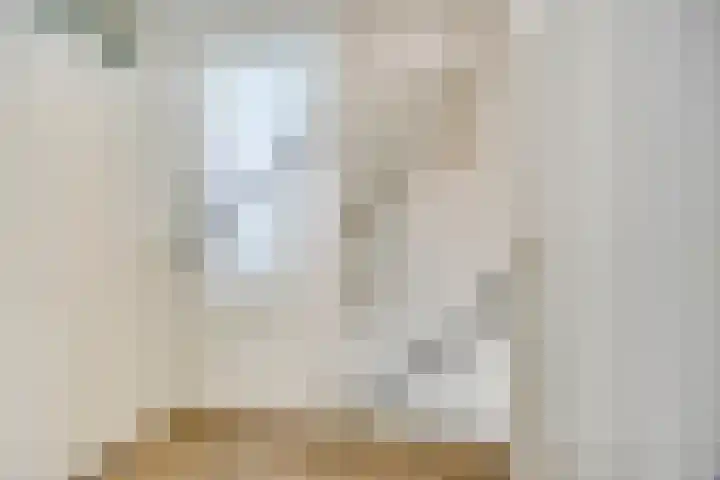 Henegouwenlaan 31 Oldenzaal thumbnail 15