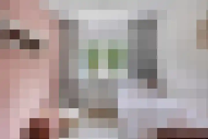 Henegouwenlaan 31 Oldenzaal thumbnail 18