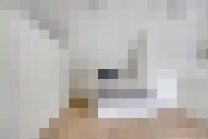 Henegouwenlaan 31 Oldenzaal thumbnail 23