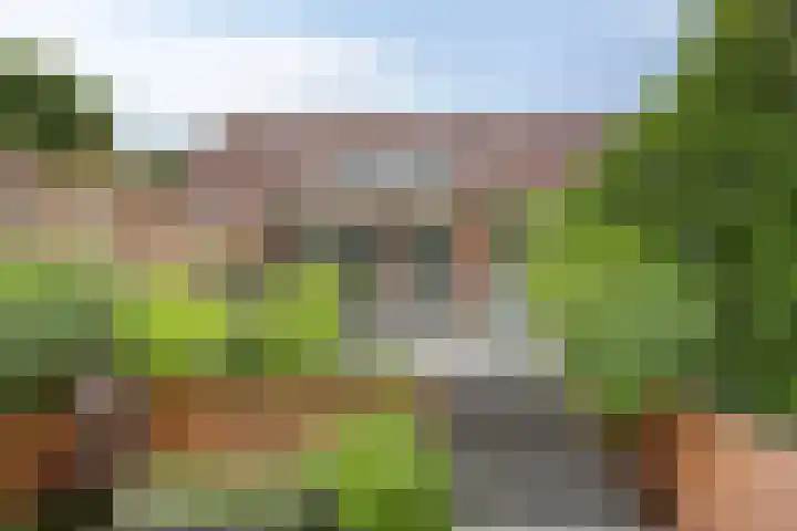 Henegouwenlaan 31 Oldenzaal thumbnail 25