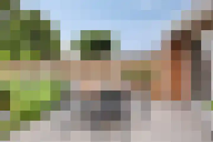 Henegouwenlaan 31 Oldenzaal thumbnail 27