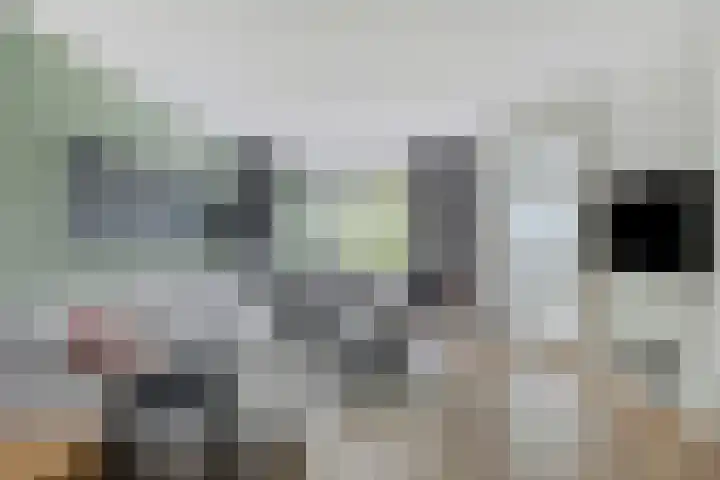 Henegouwenlaan 31 Oldenzaal foto 3