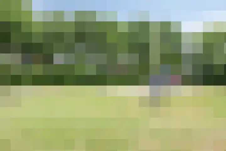 Henegouwenlaan 31 Oldenzaal thumbnail 32