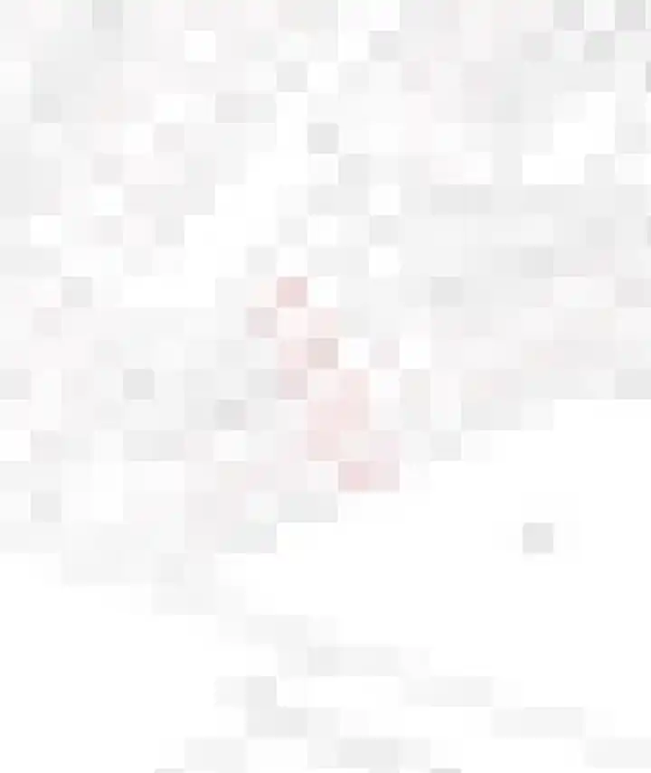 Henegouwenlaan 31 Oldenzaal thumbnail 37
