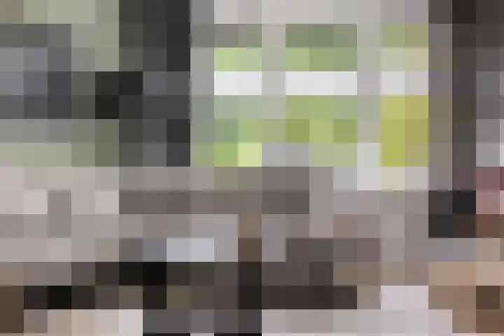 Henegouwenlaan 31 Oldenzaal thumbnail 4