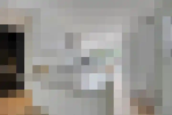 Henegouwenlaan 31 Oldenzaal thumbnail 7