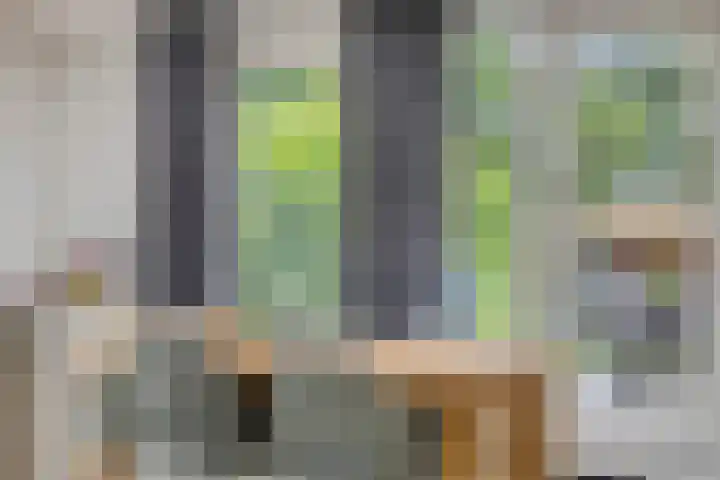 Henegouwenlaan 31 Oldenzaal thumbnail 8