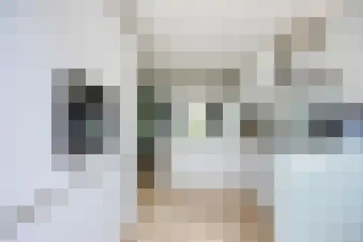 Henegouwenlaan 31 Oldenzaal thumbnail 9