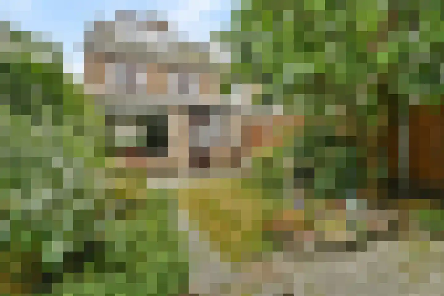 Henegouwenlaan 34 Heemskerk thumbnail 16