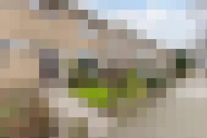 Henegouwenlaan 34 Heemskerk thumbnail 32
