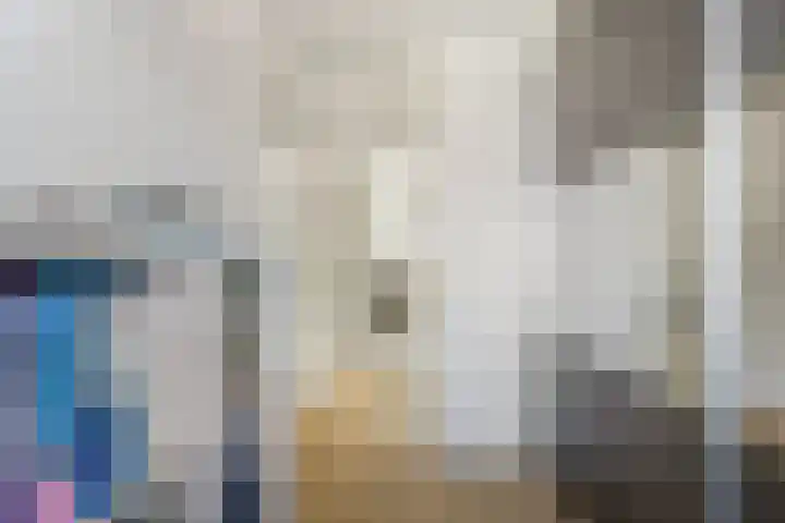 Henegouwenlaan 8 Heemskerk thumbnail 17