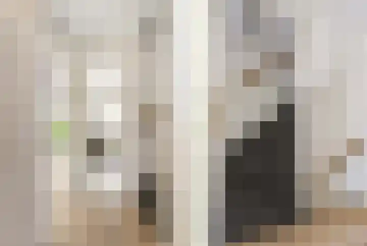 Henegouwenlaan 8 Heemskerk thumbnail 21